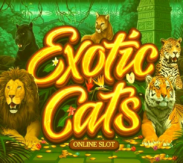 Exotic Cats online slot