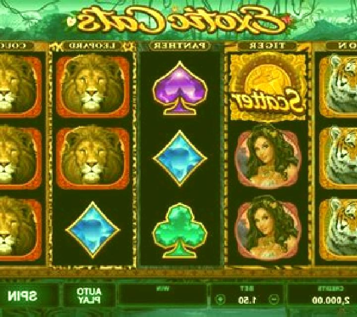 Exotic Cats slot game