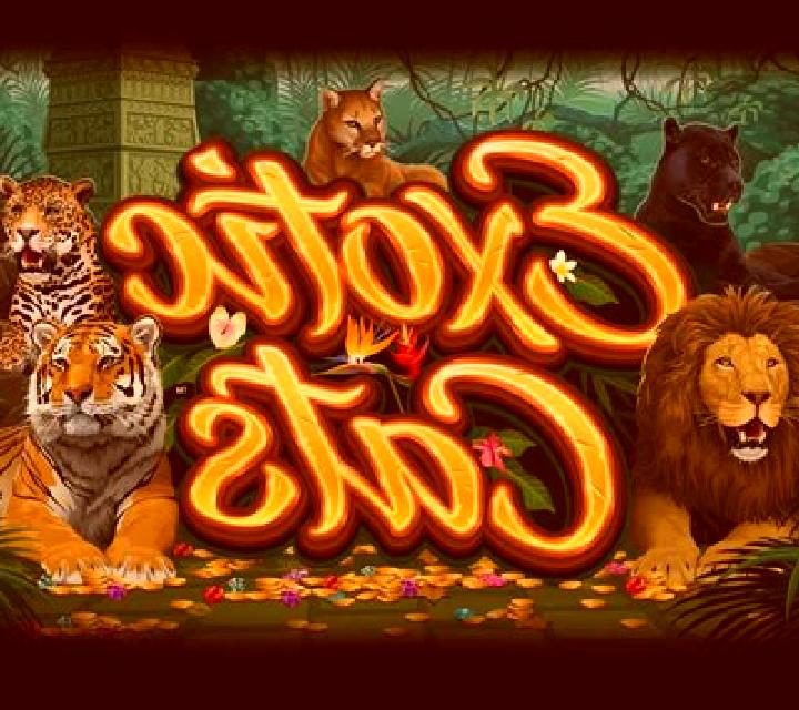 Exotic Cats slot machine