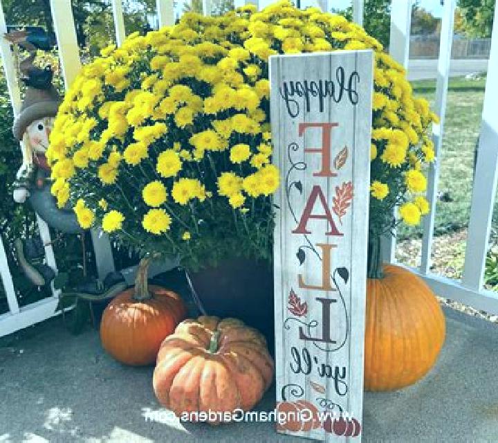 Fall or Fortune slot