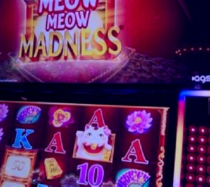 Farm Madness slot machine