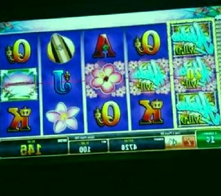 Farmers Delight slot machine