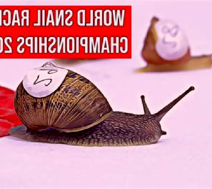 Fast Snail Racing online slot