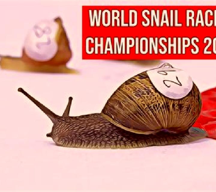 Fast Snail Racing slot game