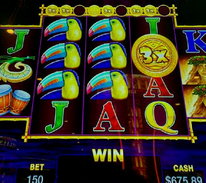 Fate s Fortune slot machine