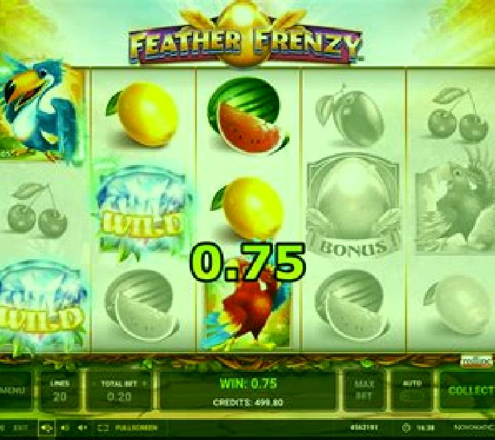 Feather Frenzy slot game