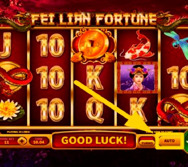 Fei Lian Fortune slot