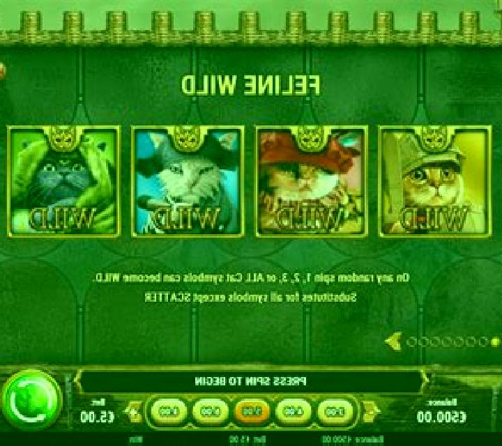 Feline Fury online slot