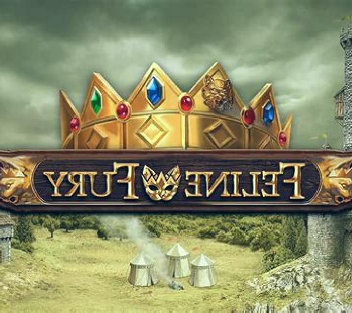 Feline Fury slot game