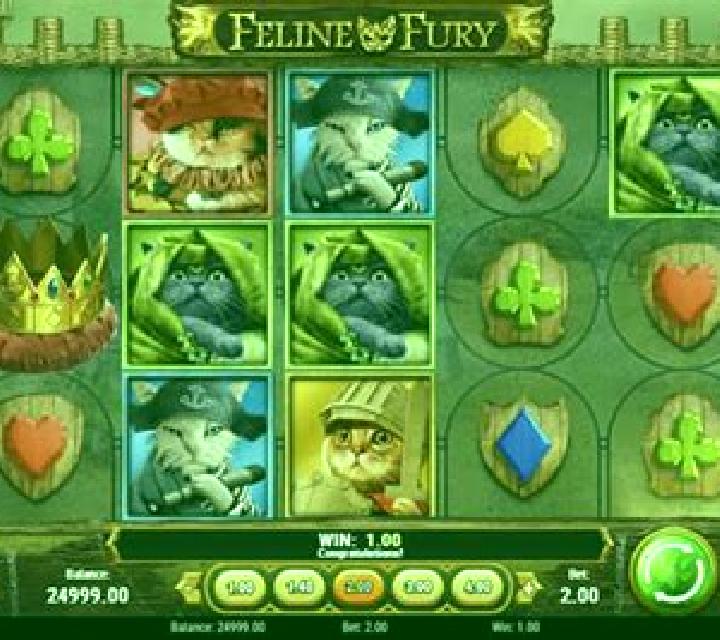 Feline Fury slot machine