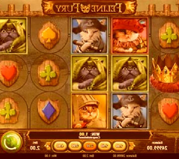Feline Fury slot