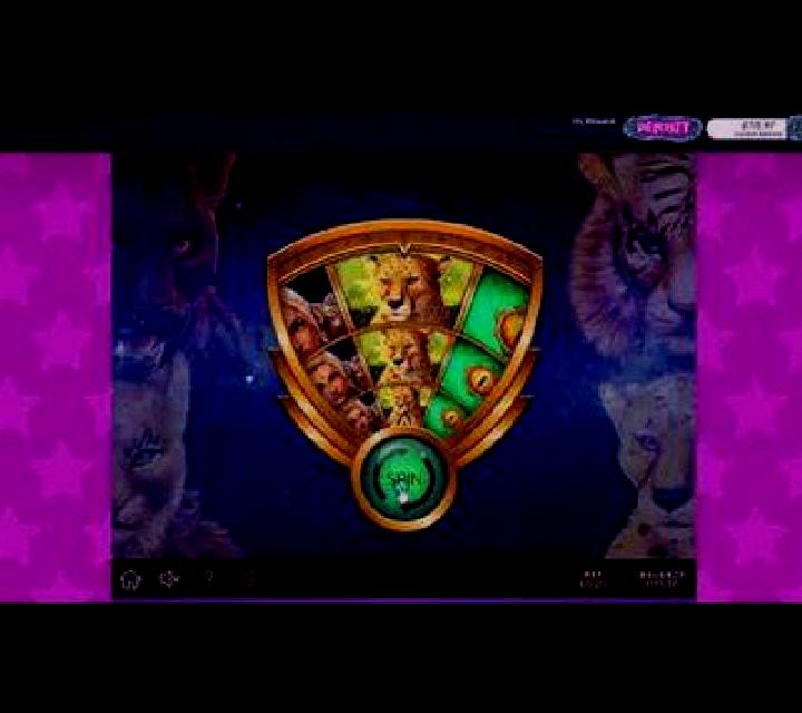 Feline Queen slot