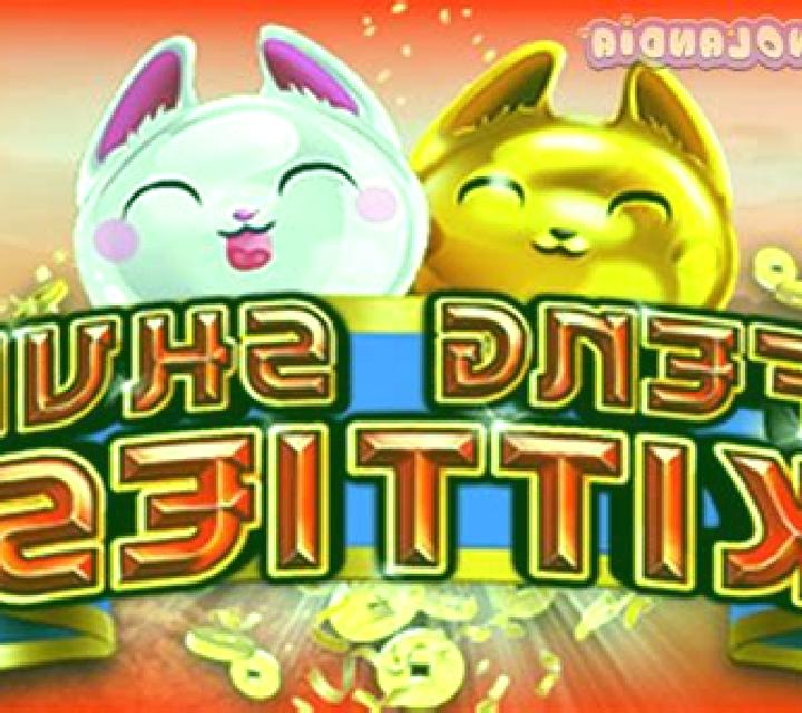 Feng Shui Kitties slot game