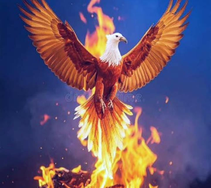 Fire Eagle slot