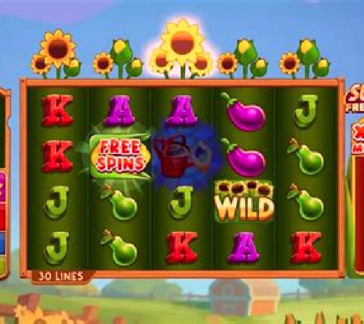 Fire Fields online slot