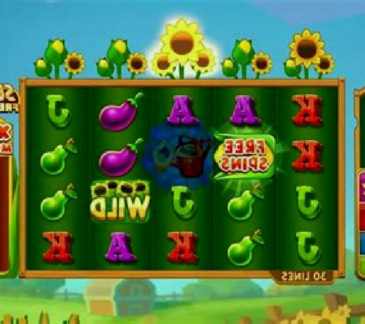 Fire Fields slot game