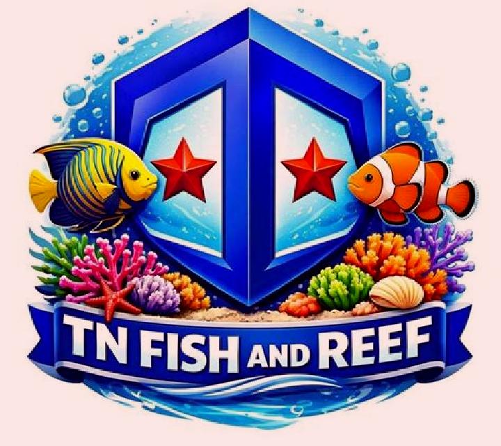 Fish Reef online slot