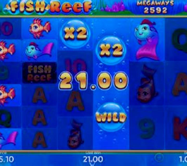 Fish Reef slot