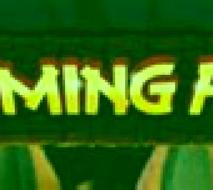 Flaming Fox online slot