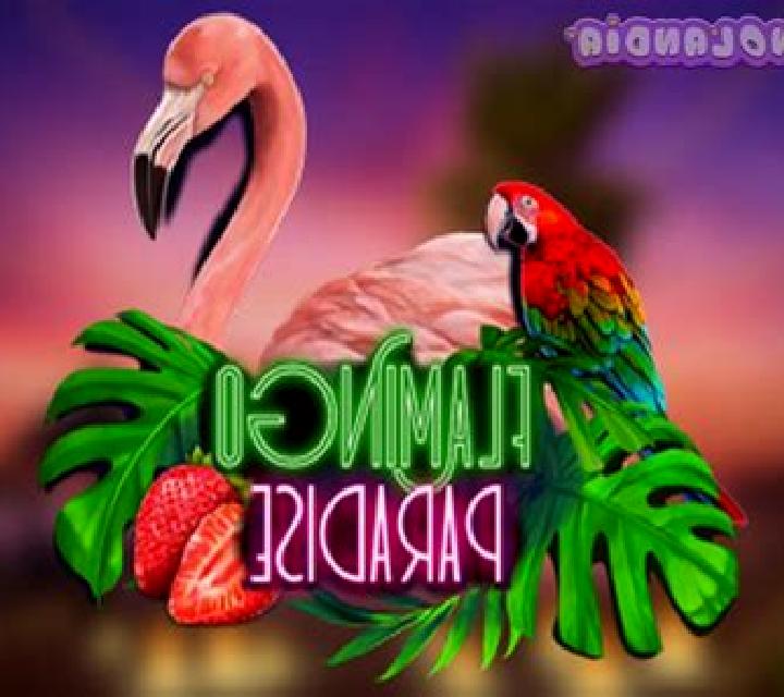 Flamingo Paradise slot game