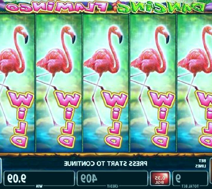 Flamingo slot machine