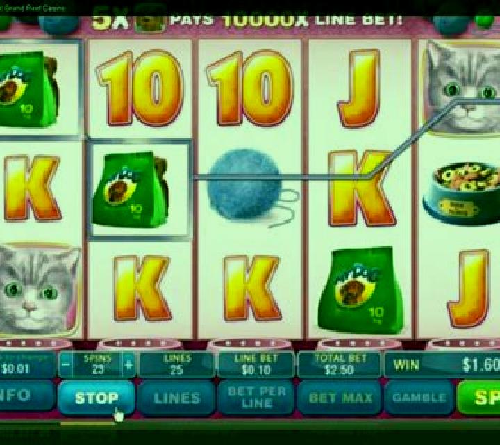 Fluffy slot machine