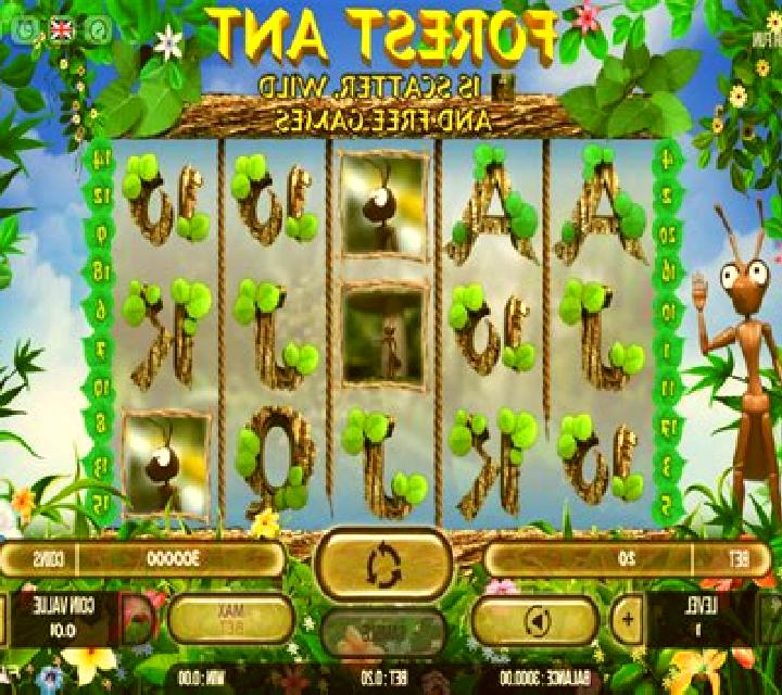 Forest Ant slot