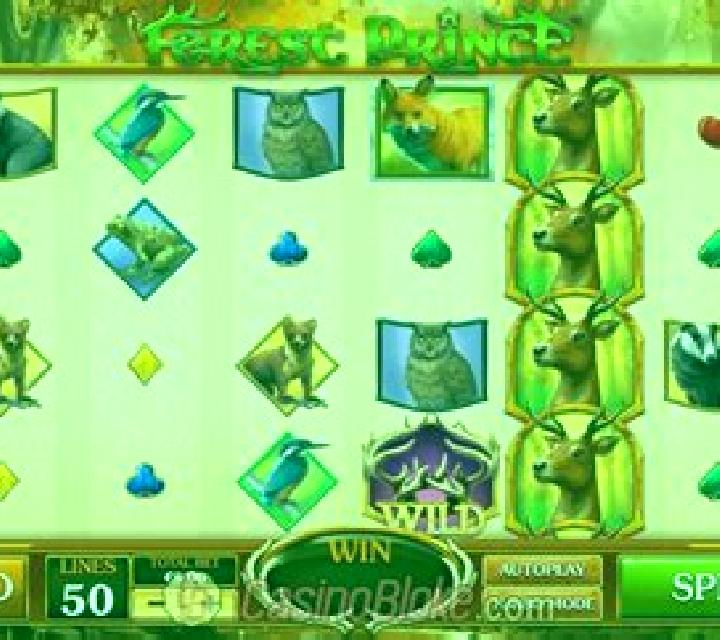 Forest Prince slot game