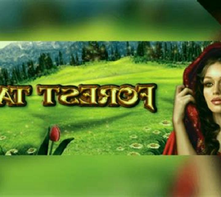 Forest Tale slot game