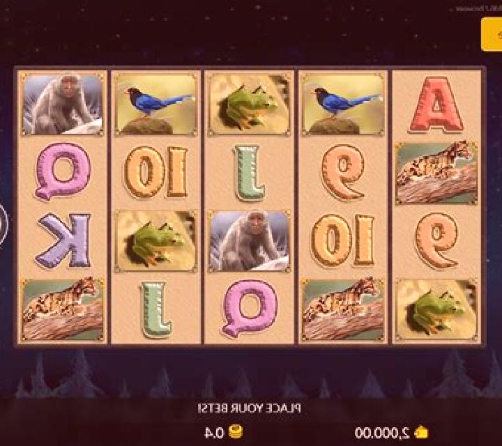 Formosa Bear slot