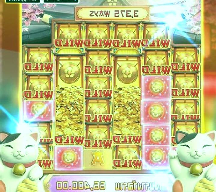 Fortuna 8 Cat slot game
