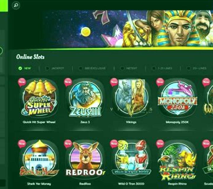 Fortune 888 slot game