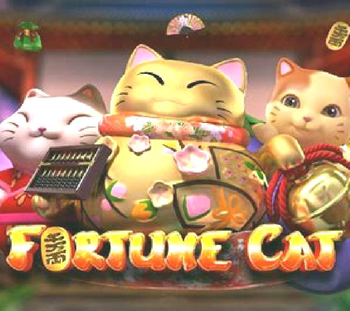 Fortune Cat (GamePLay) slot game