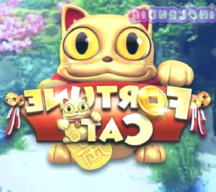 Fortune Cat (SimplePlay) slot game
