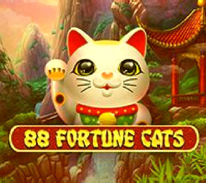 Fortune Cats slot game