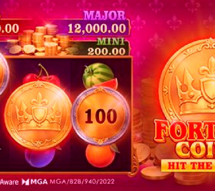 Fortune Coins (TaDa Gaming) slot