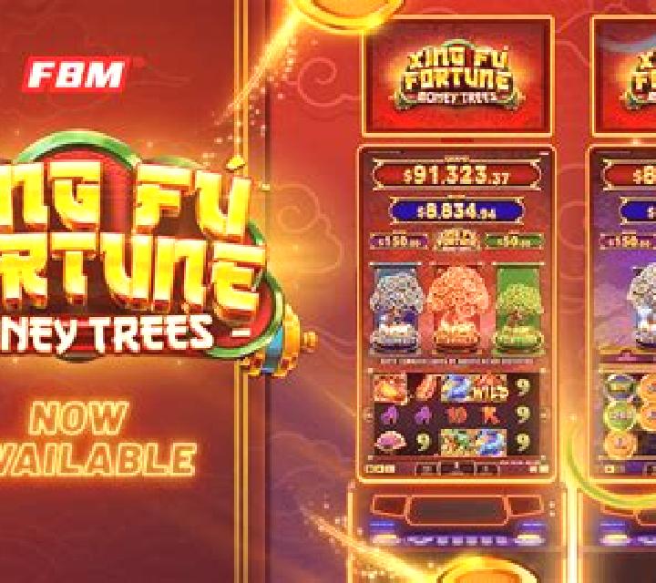 Fortune Fu slot game