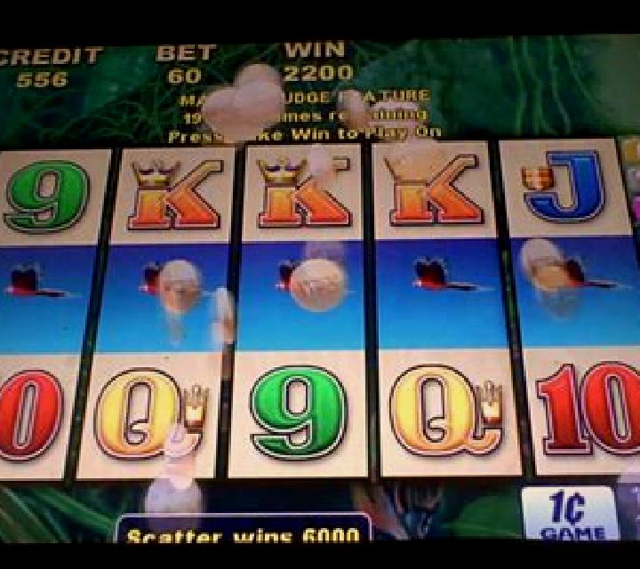 Fortune Macaw slot machine