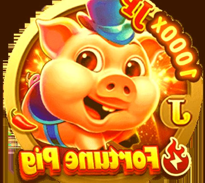 Fortune Piggy Coin slot game