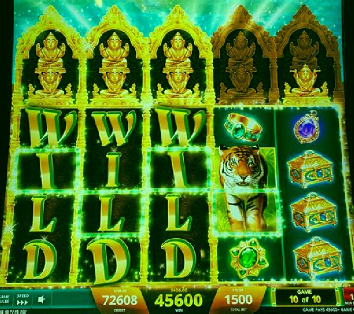 Fortunes of the Jungle slot machine