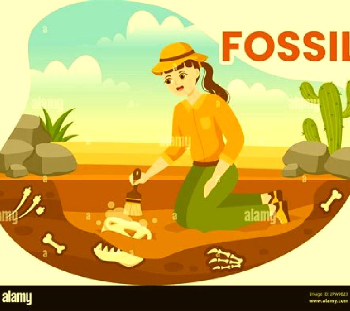Fossil Digger online slot