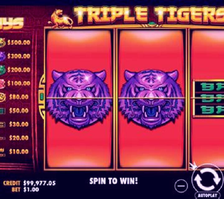 Four Tigers slot machine