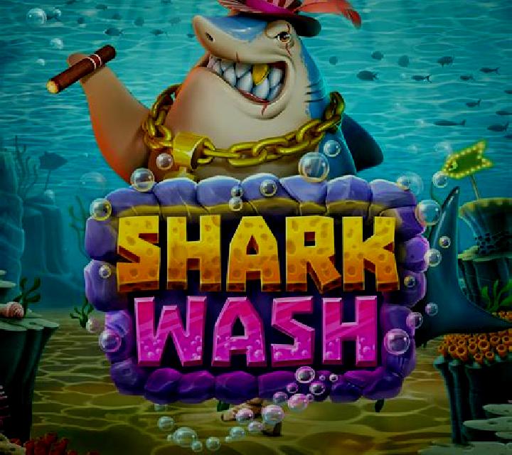 Foxy Wash slot game