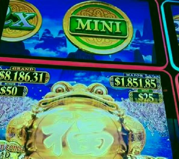 Frog House slot machine