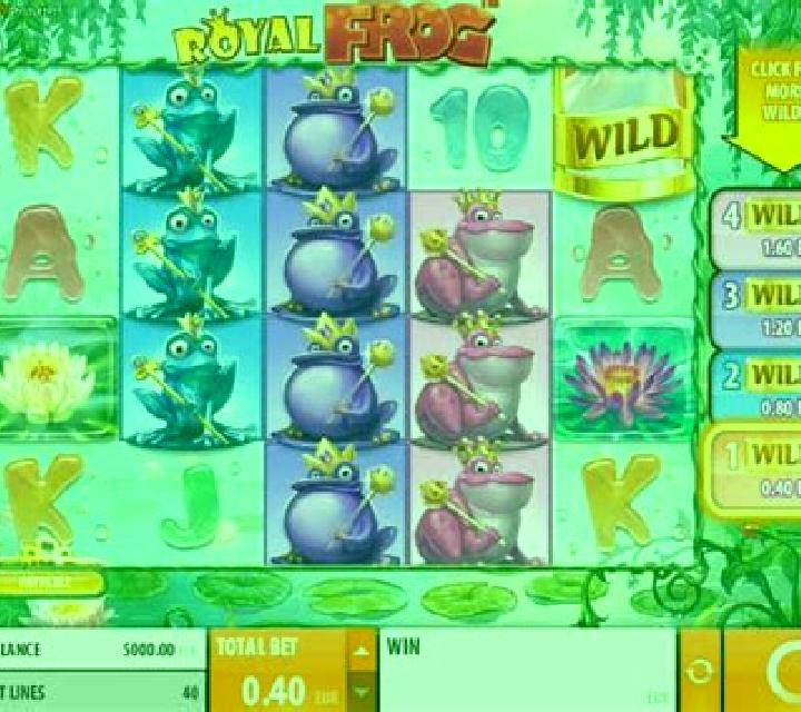 Frog slot game