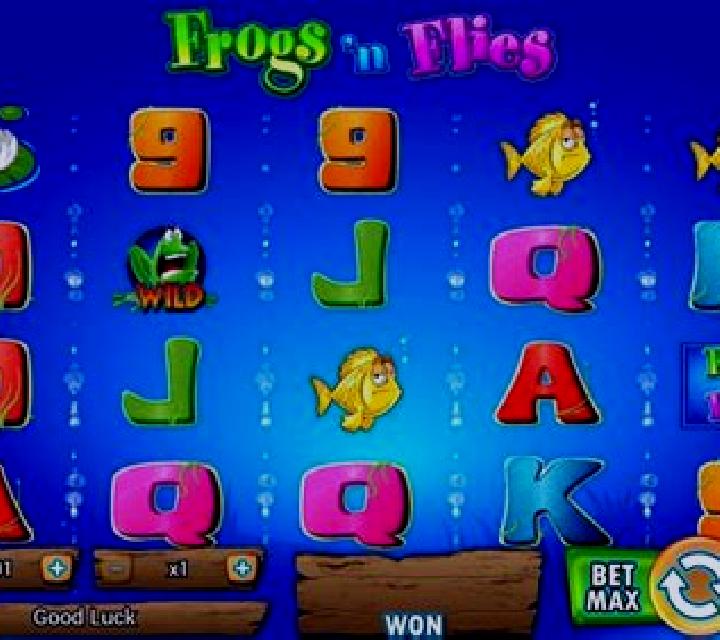 Frogs n Flies 2 slot game