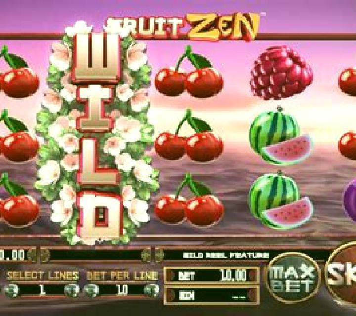 Fruit Zen slot game