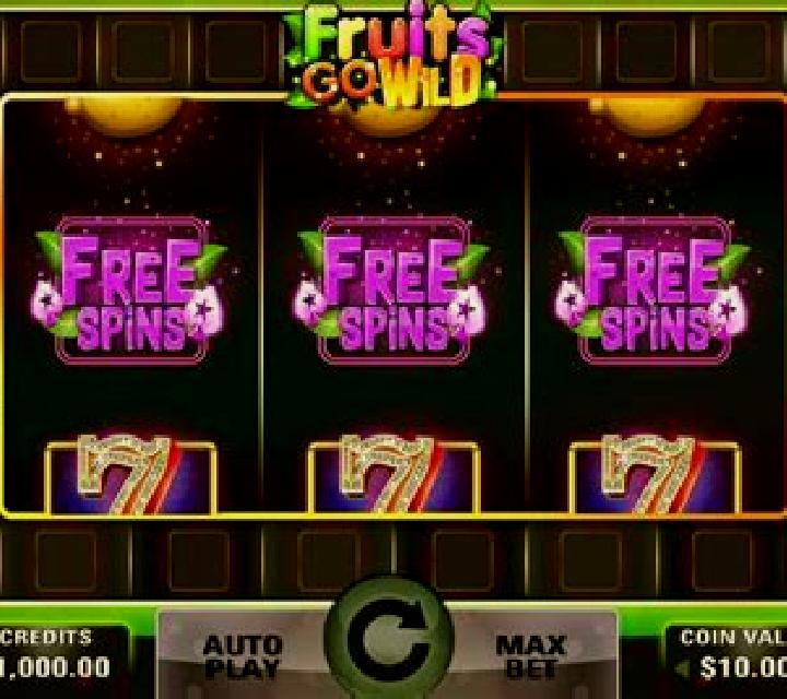 Fruits Go Wild slot