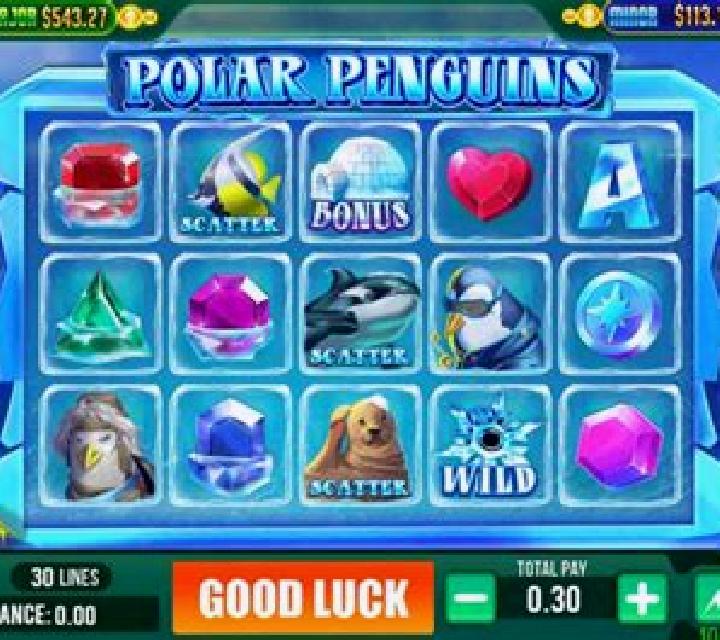 Fury Penguins slot game