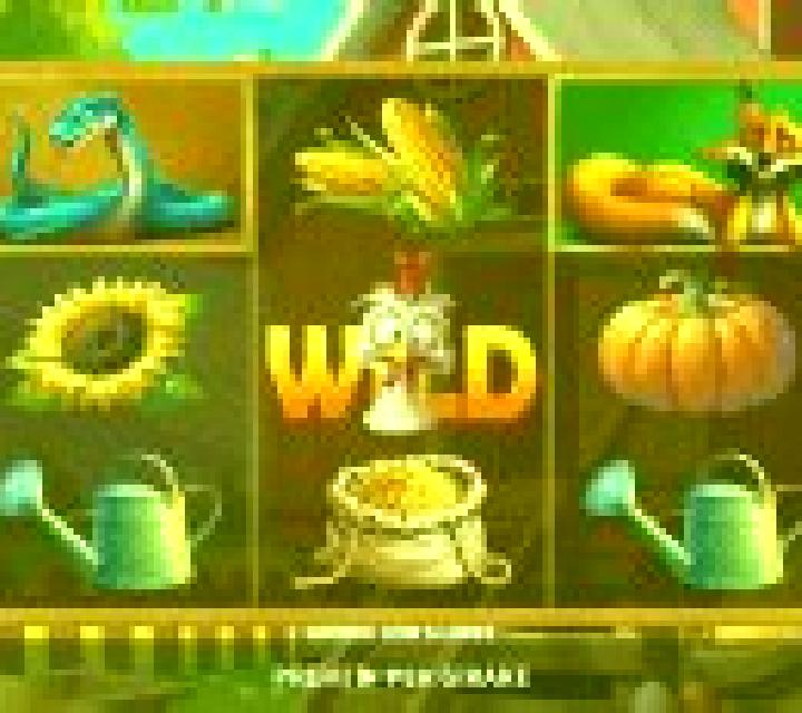 Gallina Pazza slot machine